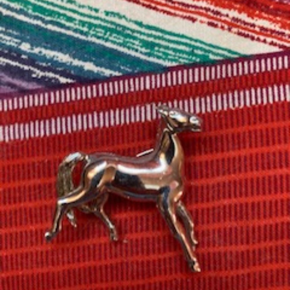 Equestrian Lovers, Beautiful Silver Horse Pin, with secure pin encloseure.